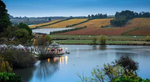 Image of Home & Away St Leonards