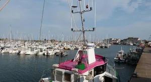 Image of "Les Mouettes" Maison de pêcheur en centre ville