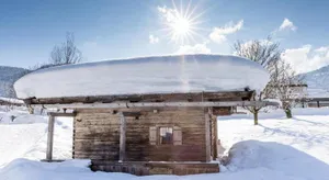 Image of Haus Salina