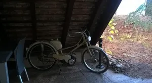 Image of Spacieux et cosy F2 de 65m2 proche Strasbourg