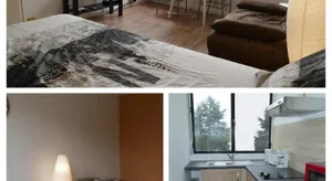 Image of Appartement cosy entierement renove
