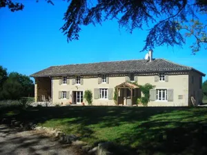 Image of La Première Vigne