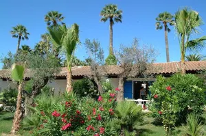 Image of Residence La Palmeraie