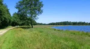 Image of Sfeervol 6 persoons appartement - van alle gemakken voorzien!