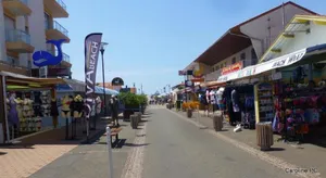 Image of Le Surf