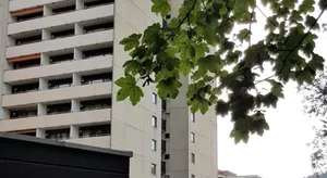 Image of Ferienwohnung Vogelnest im Schwarzwald