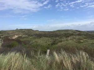 Image of Almost At The Beach