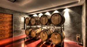 Image of Weingut Apartment Hildegard Gangl