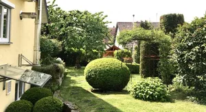 Image of Casa Limone