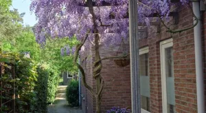 Image of B&B Achterom