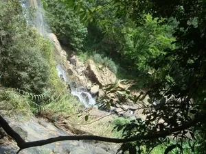 Image of Eco Salient View