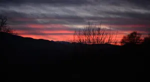 Image of Petit Gîte TARA avec SPA - Ariege Pyrénées