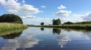 Image of Het Torentje van Trips
