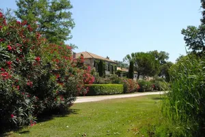 Image of Mas Antonelle