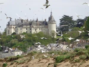 Image of Le Clos Des Livaudieres