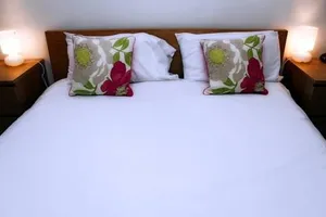 Image of Central quiet self check in 1 bedroom apartment up to 4