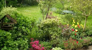 Image of Les Hirondelles