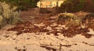 Image of Jewel of the South Beachfront Holiday Rental