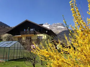 Image of Les Balcons du Mont-Blanc : Appartement centre village