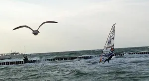 Image of Ferienwohnung HIMBEERE mit großem Garten