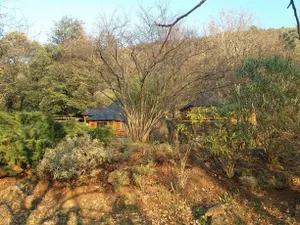 Image of Natur'ânes