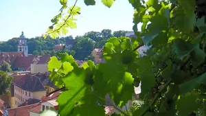 Image of Hotel Schlossberg