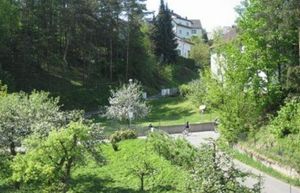 Image of ZUR LINDE GASTHOF