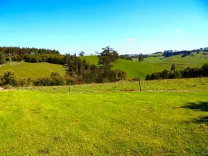 Image of Black Duck Farm