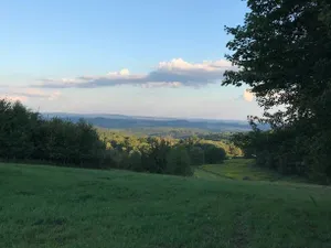 Image of Tentrr - Lucky Hill