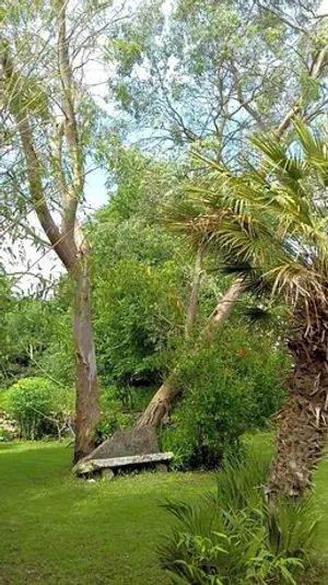 Image of Varzay autour du puits