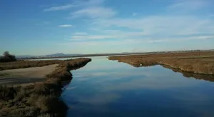 Image of Le Flamingo