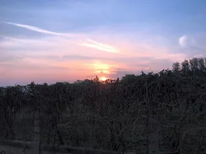Image of BaanRai KhunYa บ้านไร่คุณย่า