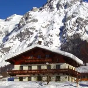 Image of Örglgut