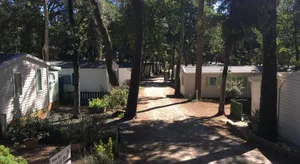 Image of Camping Les Chênes Verts