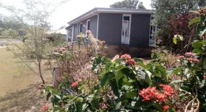 Image of Corner Cottage Rear Studio - Attached - Geneva in Kyogle