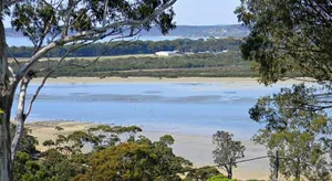 Image of Lontano