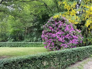 Image of B&B de Panheide