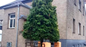 Image of Apartment Jackie