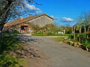 Image of La Schaafraniere