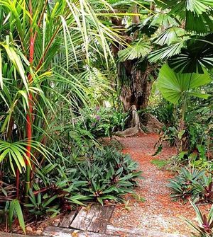 Image of Castaways Resort & Spa Mission Beach Rainforest