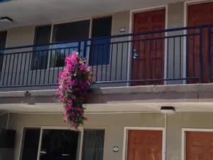 Image of Cameo Motel - Portland