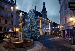 Image of Hotel du Raisin