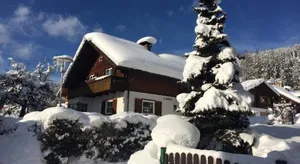 Image of Ferienhaus Alpennest