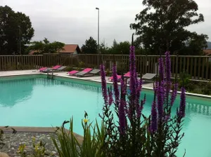 Image of Bella Vista Guest Center Pays Basque