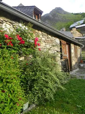 Image of L'Arcouli