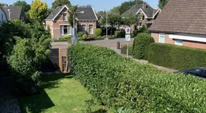 Image of City Guesthouse