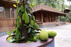 Image of Kalpavanam Heritage Resort