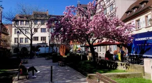 Image of Le Moment Bleu