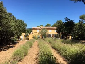 Image of Le Massounet