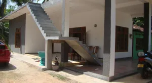Image of Priyanna Guest, Forest view
